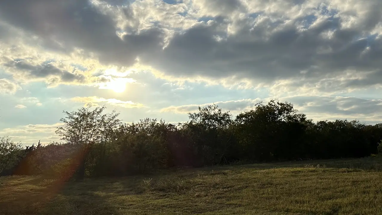 Late-afternoon sun over an open pasture and a tree line, under a long bank of cloud.